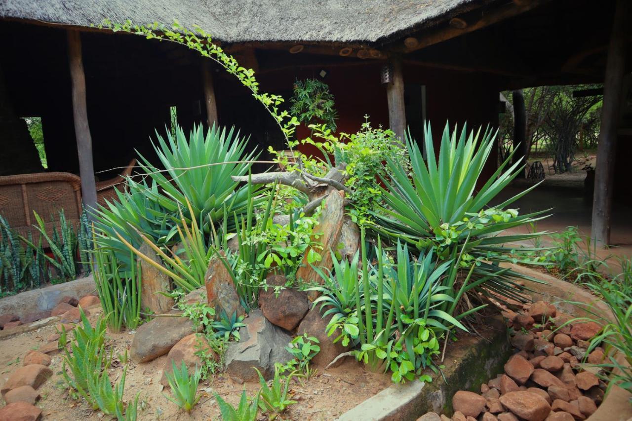 Munga Eco-Lodge Ливингстън Екстериор снимка