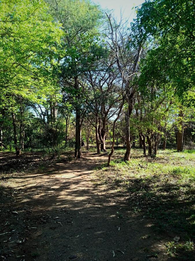 Munga Eco-Lodge Ливингстън Екстериор снимка