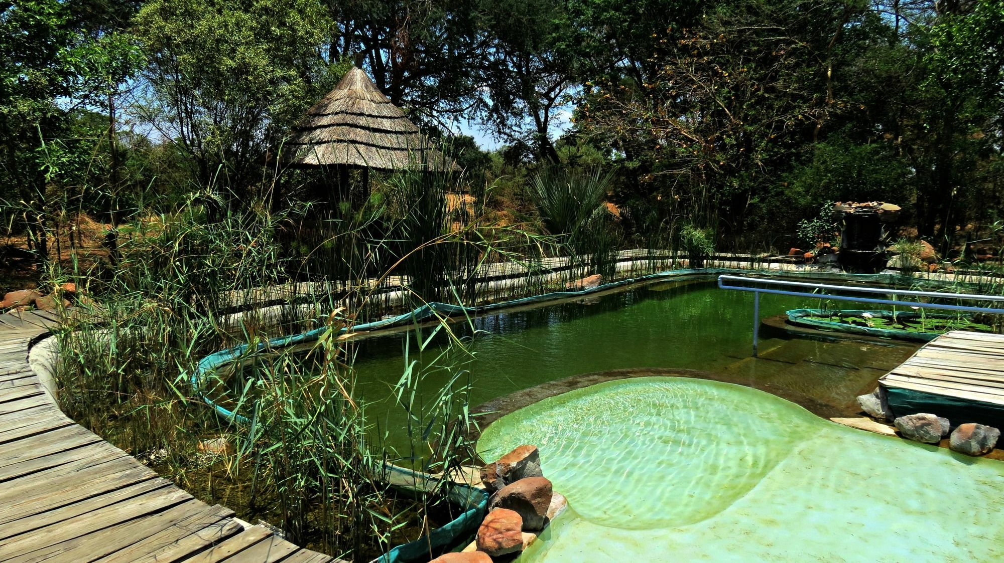 Munga Eco-Lodge Ливингстън Екстериор снимка